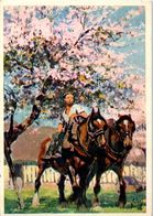 Delcampe - Chevaux - Hippisme - Chevaux En Normandie - Reitsport