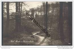 Delcampe - Kiel - Partie In Düsternbrook - Foto-AK - Kiel