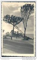 Delcampe - Ostseebad Georgenswalde - Kuranlagen - Foto-AK 40er Jahre - Ostpreussen