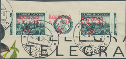00063 Sudetenland - Karlsbad: Gedenkausgabe "Briefmarkenausstellung In Pilsen 1938", Waagerechtes Paar Mit - Sudetenland