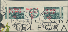 00063 Sudetenland - Karlsbad: Gedenkausgabe "Briefmarkenausstellung In Pilsen 1938", Waagerechtes Paar Mit - Sudetes