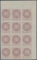 00521 Argentinien: 1862 5c. Rose-lilac Without Accent, TOP RIGHT CORNER BLOCK OF 12, Unused Without Gum, W - Andere & Zonder Classificatie