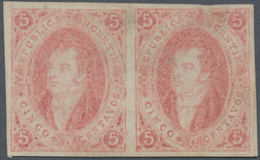 00542 Argentinien: 1867 'Rivadavias' 5c. Light Rose, No Watermark, 6th Printing, IMPERFORATED HORIZONTAL P - Andere & Zonder Classificatie