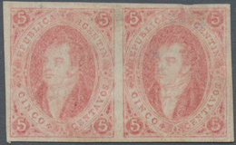 00542 Argentinien: 1867 'Rivadavias' 5c. Light Rose, No Watermark, 6th Printing, IMPERFORATED HORIZONTAL P - Otros & Sin Clasificación