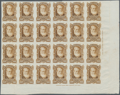 00580 Brasilien: 1878-79, 300 R. Bister Imperf Block Of 24 On White Wove Paper, Right Bottom Wide Corner M - Otros & Sin Clasificación