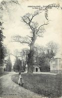 Delcampe - -dpts Div.-ref-AB299- Seine Maritime - Forges Les Eaux - Et. Thermal - Chêne De Mme De Sevigné ( 700 Ans ) - Arbres - - Forges Les Eaux