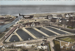 Delcampe - Courseulles Sur Mer 14 - Vue Aérienne Parcs à Huîtres - Ostréiculture - Editeur Lapie N° 6-K - Courseulles-sur-Mer
