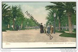 Delcampe - Cadiz - Parque Genoves-paseo De Palmeras Ca. 1900 - Cádiz