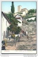 Delcampe - Granada - Una Cuesta De La Alhacaba Ca. 1900 - Granada
