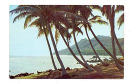 USA - HAWAII - HONOLULU, Diamond Head From Black Point, 1955 - Honolulu