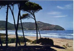 Delcampe - Piombino Populonia - Livorno - Il Golfo De Baratti - Formato Grande Viaggiata – E 6 - Massa