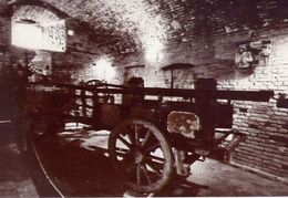 Delcampe - Cesena - Museo Della Civiltùà Romagnola - Biroccio Romagnolo - Formato Grande Non Viaggiata – E 6 - Cesena