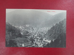 Delcampe - CPA ALLEMAGNE TRIBERG - Triberg