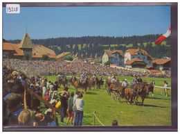 FORMAT 10x15cm - SAIGNELEGIER - CHEVAUX DES FRANCHES MONTAGNES - TB - Saignelégier