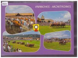 FORMAT 10x15cm - SAIGNELEGIER - CHEVAUX DES FRANCHES MONTAGNES - TB - Saignelégier