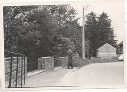 Delcampe - 38627  -  Dalhem    Rue Genéral Thys -  Photo   14,5  X 10,5 - Dalhem