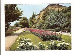 Delcampe - OFFENBURG - IM ZWINGER - Offenburg