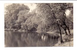 1000 BERLIN - TREPTOW, Treptower Park, Photo-.AK, 1955 - Treptow