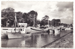 Delcampe - MESCHERS  EN CHARENTE MARITIME  LE PORT VOIR VERSO CARTE  CIRCULEE - Meschers