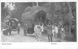 Delcampe - ¤¤  -  SRI LANKA  -  CEYLAN   -  COLOMBO   -  Bullock Bandy  -  Attelage De Boeufs   -  ¤¤ - Sri Lanka (Ceylon)