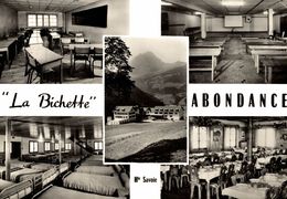 Delcampe - ABONDANCE  LA BICHETTE MAISONS D ENFANTS - Abondance