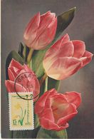 Carte Maximum Fleurs Tulipes - Maximum Cards