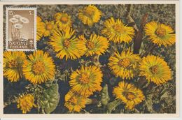 Carte Maximum Fleurs 1949 Tussilage 351 - Maximum Cards & Covers