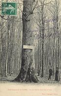 Delcampe - -dpts Div.-ref-AB232- Eure - Lyons La Foret - Foret Domaniale - Le Gros Chêne - Chênes - Arbre - Arbres - - Lyons-la-Forêt