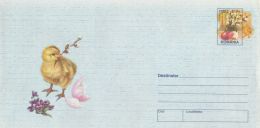 6665FM- CHICKENS, BUDS, VIOLETS, FLOWERS, PAINTED EGGS, EASTER, COVER STATIONERY, 1999, ROMANIA - Easter