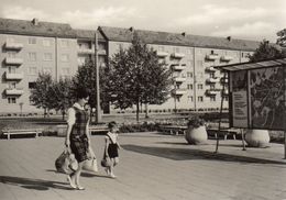 Delcampe - POTSDAM - Potsdam
