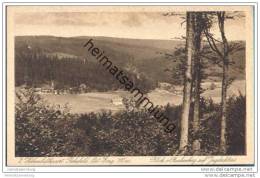 Rehefeld - Blick Vom Buchenberg Auf Jagdschloss - Rehefeld