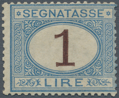 01006 Italien - Portomarken: 1870: Postage Due, 1 Lira Light Blue And Brown, Mint With Orignal Gum; Certif - Portomarken