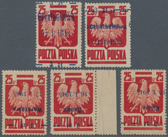 01563 Polen: 1945: Goznak Issue With Liberation Of Town Overprints. Nice Selection Of Five Stamps With Err - Covers & Documents