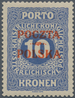 01570 Polen - Portomarken: "1919, Krakow Issue "Poczta / Ornament/Polska" Lithographed Red Overprint On Au - Taxe