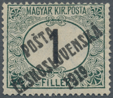 01717 Tschechoslowakei: 1919, "Posta Ceskoslovensko" Overprints, 1f. Green/black With Rare Watermark "Py", - Covers & Documents