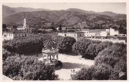 Delcampe - BLIDA VUE SUR LA PLACE D'ARMES (dil387) - Blida