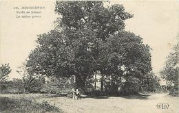 Delcampe - -dpts Div.-ref-AB185- Essonne - Montgeron - Senart - Le Chêne Prieur - Chênes - Arbre - Arbres  - Carte Bon Etat - - Montgeron