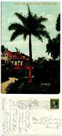 United States 1909 Postcard Royal Palm, Garden Of Eden, Palm Beach, Florida - Palm Beach