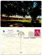 Delcampe - United States 1961 Postcard Camellia Motel & Restaurant, Florence South Carolina - Florence