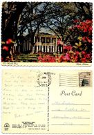 United States 1978 Postcard The Mitchell Home - Mobile, Alabama - Mobile