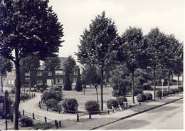 Veerle Laakdal  Marktplein - Laakdal