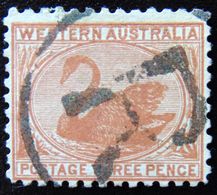 WESTERN AUSTRALIA 1905 3d Swan Used PERFORATION : 11 WATERMARK : CROWN & DOUBLE LINED A - Usati