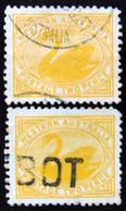 WESTERN AUSTRALIA 1905 1d Swan 2 Stamps Used WATERMARK : CROWN & DOUBLE LINED A - Gebraucht