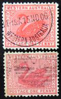 WESTERN AUSTRALIA 1902-05 1d Swan Used BOTH WATERMARKS - Used Stamps