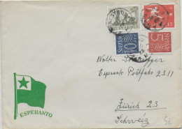 ESPERANTO - SUEDE - 1958 - ENVELOPPE ILLUSTREE De PROPAGANDE - Storia Postale