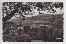Delcampe - A489 - NEUFCHATEL EN BRAY - Vue Générale - Neufchâtel En Bray