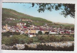 Delcampe - A494 - AUPS - Vue Générale - Aups