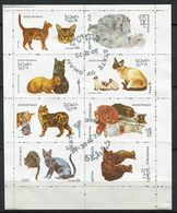 Delcampe - (lot 5) Oman Ob En Petite Feuille Pliée - Chats - - Oman