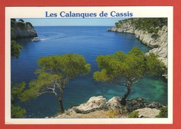 Delcampe - CP 13 BOUCHES DU RHONE CALANQUES PORT PIN 260 - Cassis
