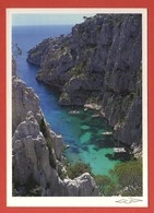 Delcampe - CP 13 CASSIS 842 Calanque D'En Vau - Cassis